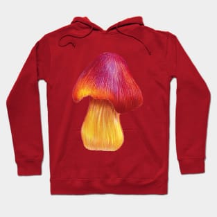 Mushroom 1 Hoodie